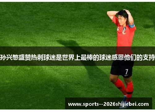 孙兴慜盛赞热刺球迷是世界上最棒的球迷感恩他们的支持